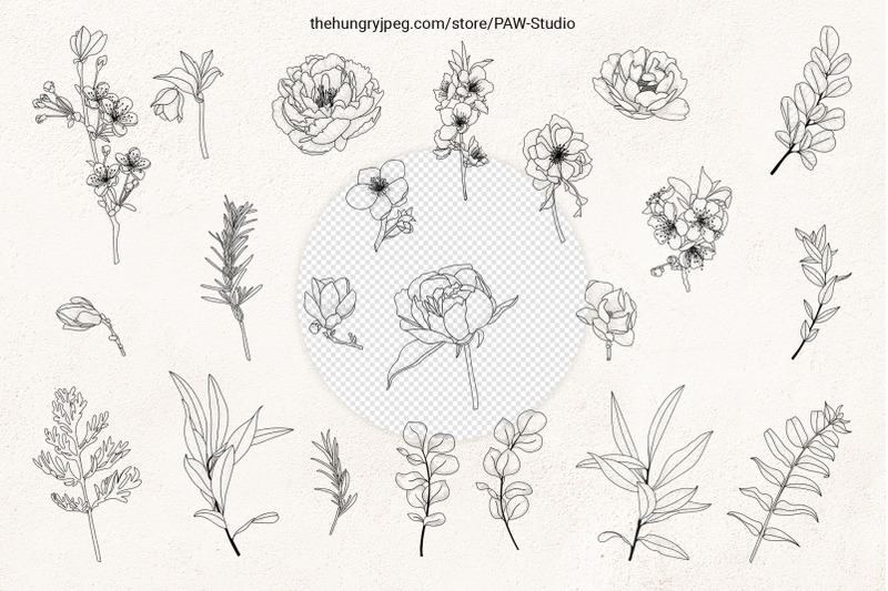 floral-sketch-line-art-flower-svg-frame-botanical-monogram
