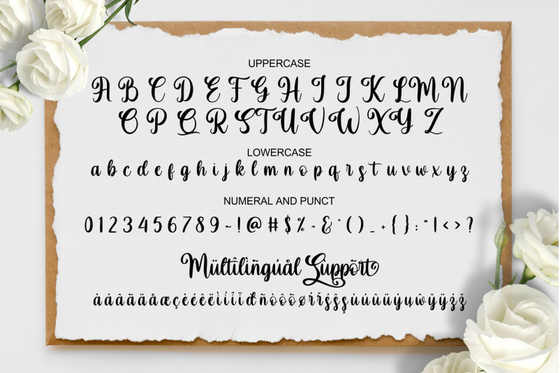 andy-amp-anna-beauty-font