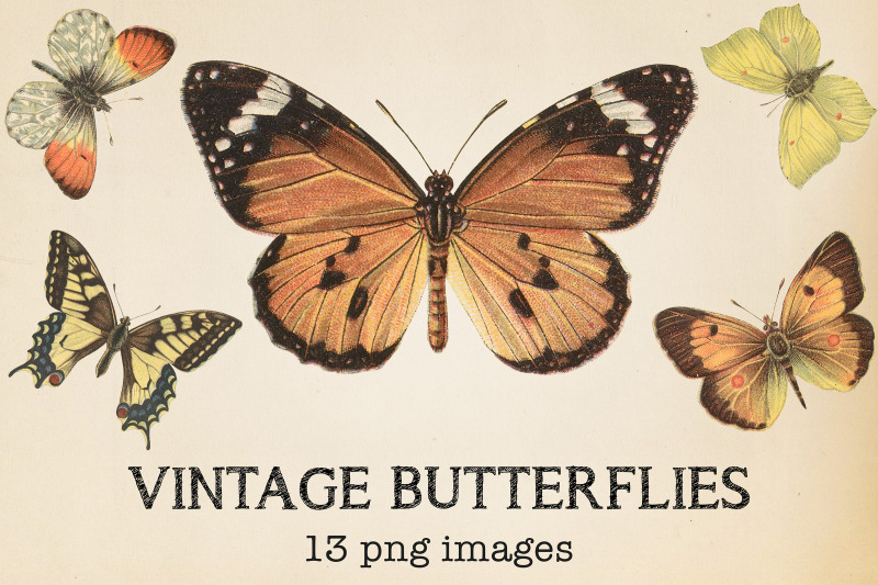 vintage-butterflies-clipart