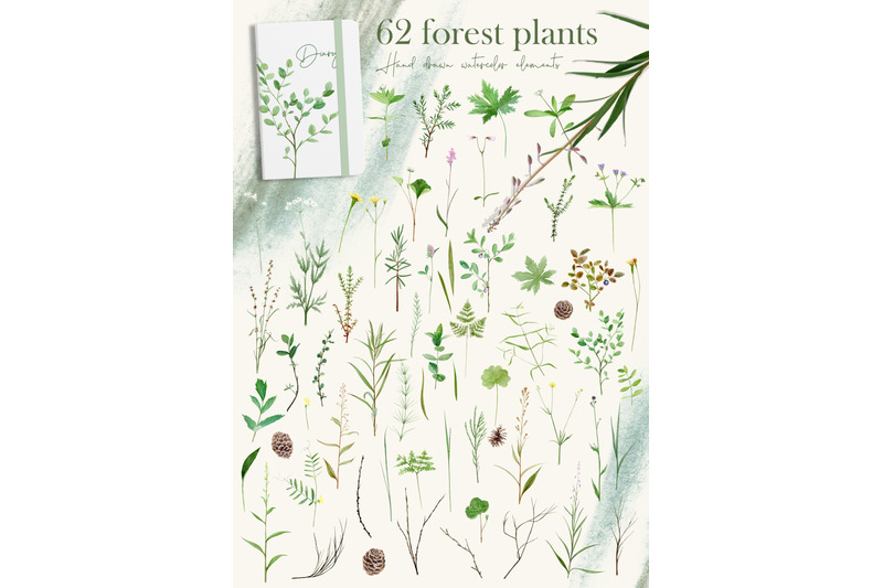 watercolor-wild-forest-flower-stem-clipart