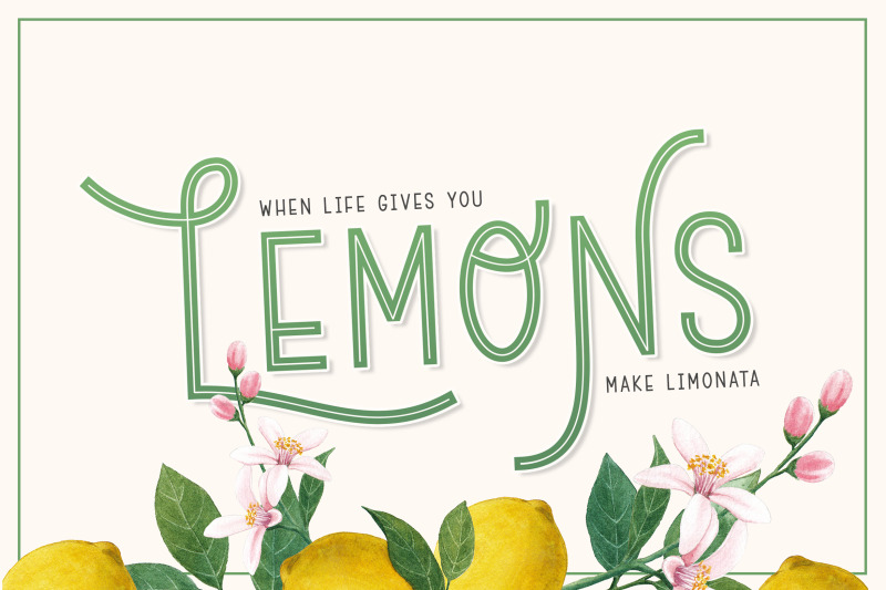 limonata-font-beautiful-fonts-retro-fonts-vintage-fonts