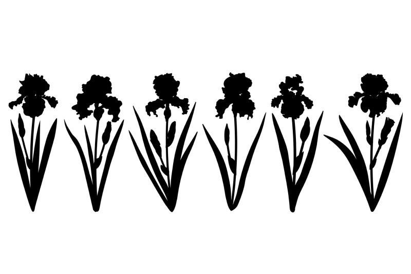 flowers-irises-silhouettes-vector-irises-svg-flowers-svg