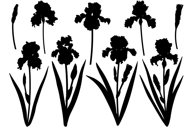 flowers-irises-silhouettes-vector-irises-svg-flowers-svg