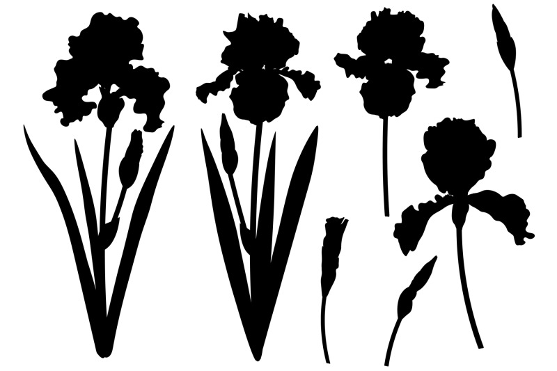 flowers-irises-silhouettes-vector-irises-svg-flowers-svg