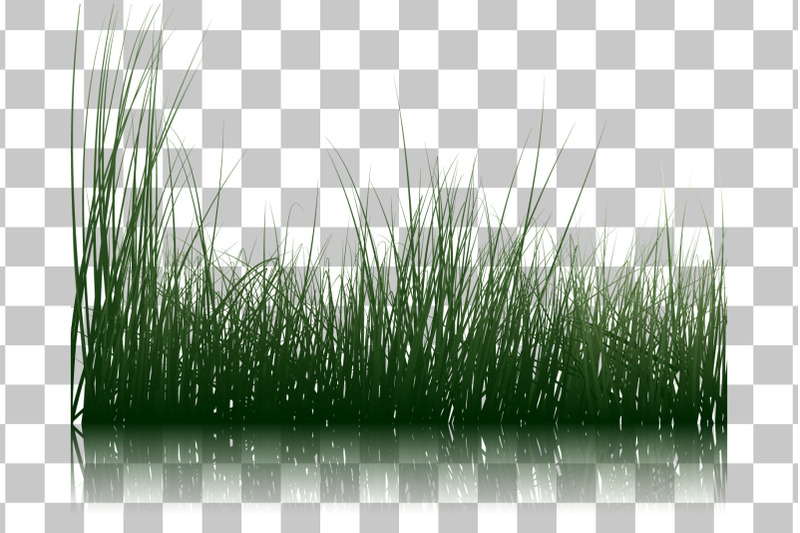 grass-on-water-set