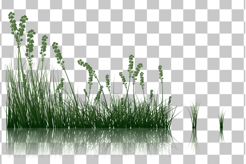 grass-on-water-set