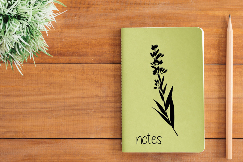 wild-flowers-hand-drawn-meadow-plants-leaves-fern