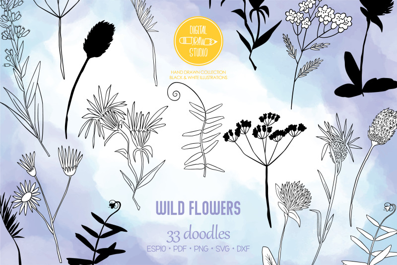 wild-flowers-hand-drawn-meadow-plants-leaves-fern