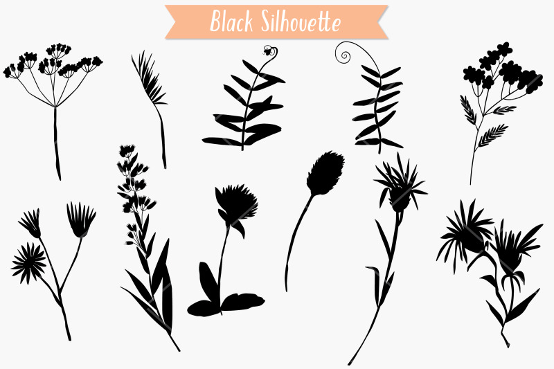 wild-flowers-hand-drawn-meadow-plants-leaves-fern