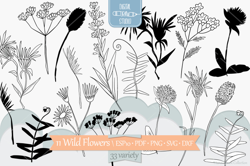 wild-flowers-hand-drawn-meadow-plants-leaves-fern