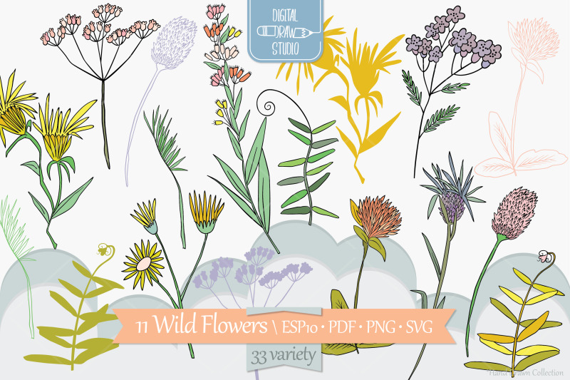 colored-wild-flowers-hand-drawn-meadow-plants-leaves-fern