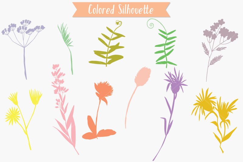 colored-wild-flowers-hand-drawn-meadow-plants-leaves-fern