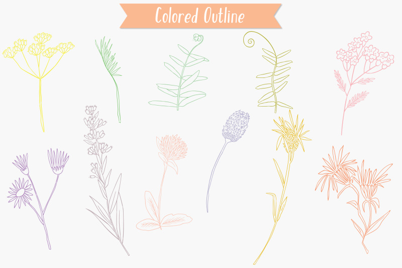 colored-wild-flowers-hand-drawn-meadow-plants-leaves-fern