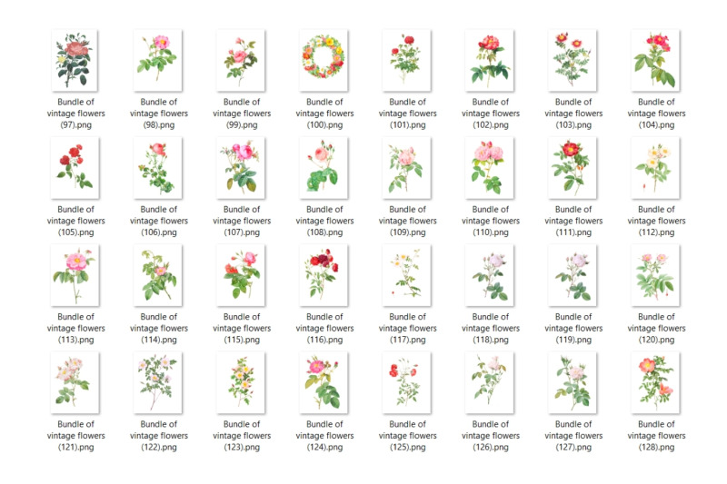 163-vintage-roses-illustrations-floral-bouquets-clip-art