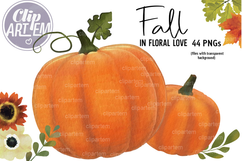 watercolor-autumn-fall-floral-pumpkin-bundle-44-png-images-clipart-set