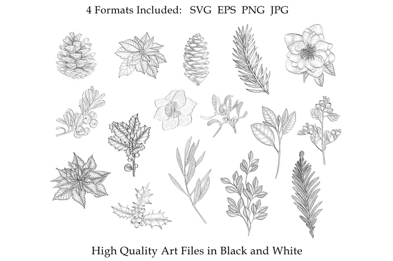 botanical-clipart-svg-floral-leaves-flowers-chtistmas-decorative