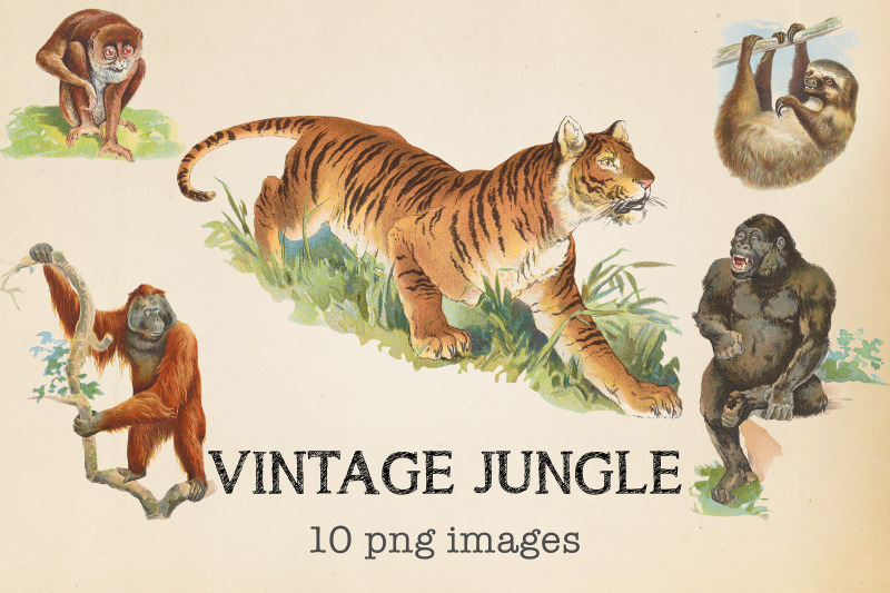 vintage-jungle-animals
