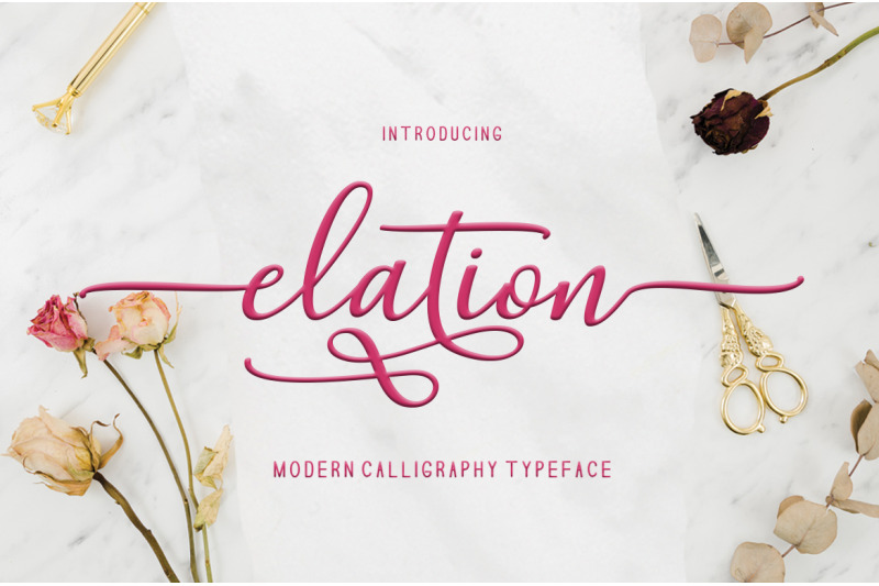elation-script-font-duo