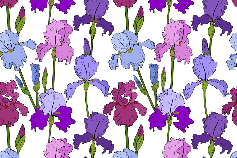 irises-pattern-flowers-pattern-irises-paper-irises-svg