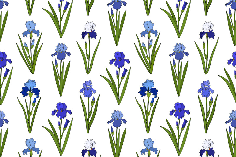 irises-pattern-flowers-pattern-irises-paper-irises-svg