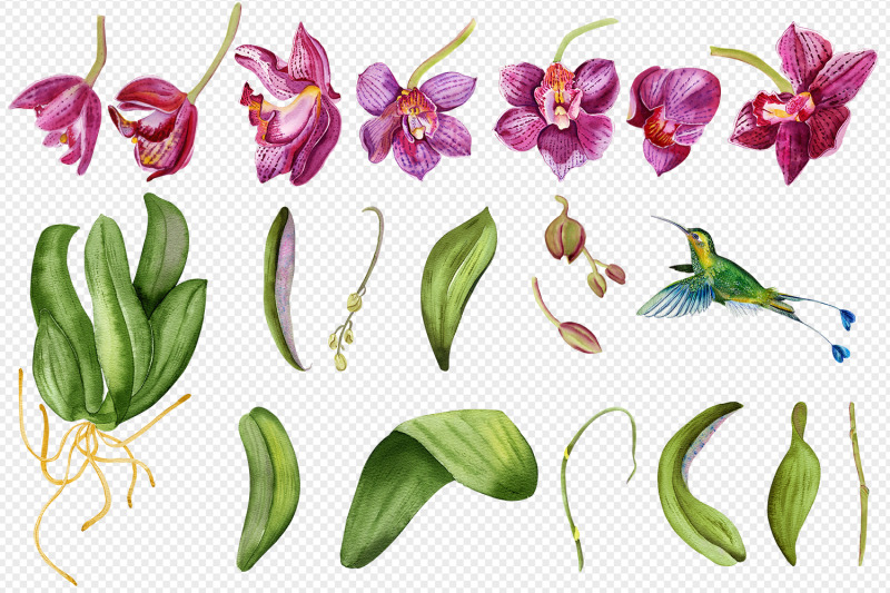 orchid-watercolor-floral-digital-clipart-tropical-art-print