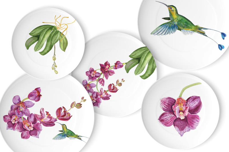 orchid-watercolor-floral-digital-clipart-tropical-art-print