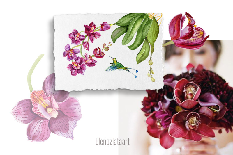 orchid-watercolor-floral-digital-clipart-tropical-art-print