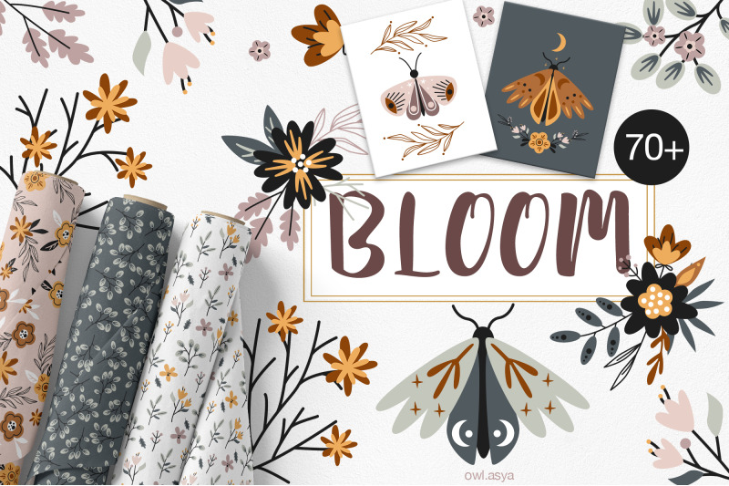 bloom-flowers-collection