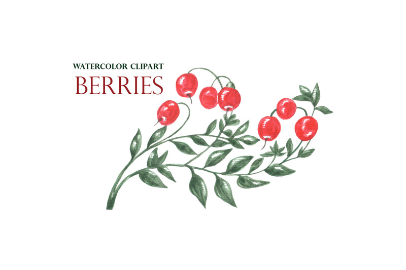 watercolor-berries-clipart-blueberries-strawberries-cherries