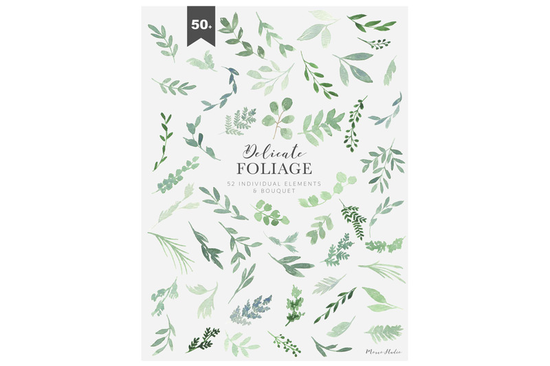 delicate-foliage-botanical-clipart