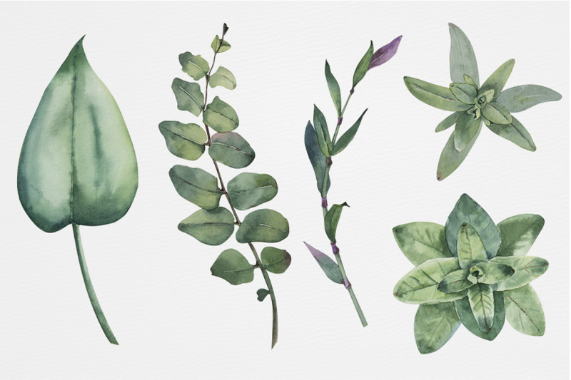 green-leaves-watercolor-set