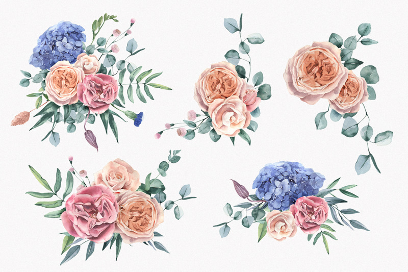 hydrangea-and-roses-watercolor-collection