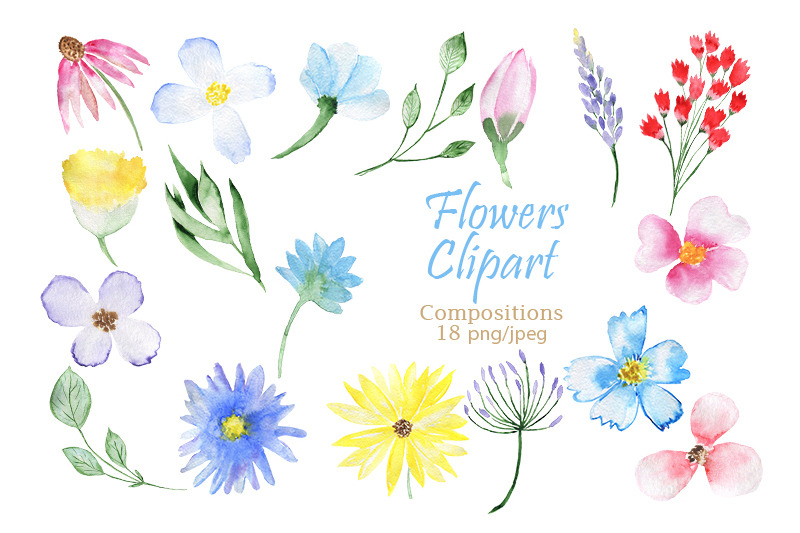 watercolor-flowers-frames-clipart-floral-set