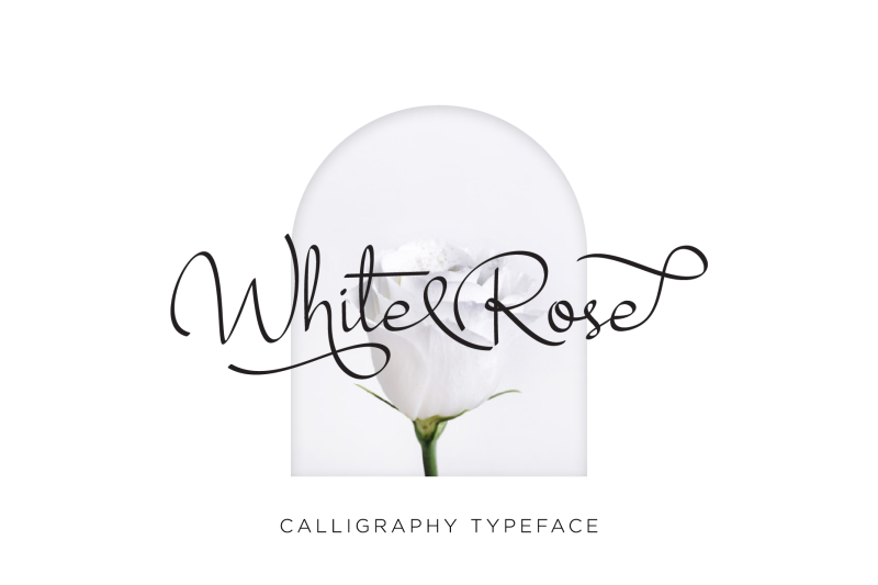 white-rose-font-duo