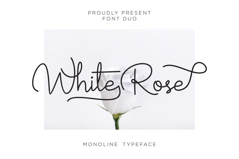 white-rose-font-duo