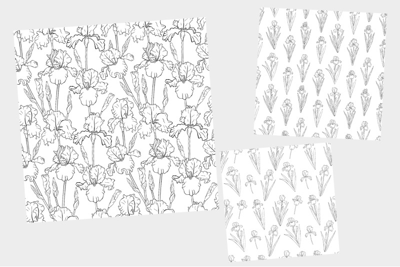 irises-graphics-pattern-flowers-graphics-pattern-iris-svg