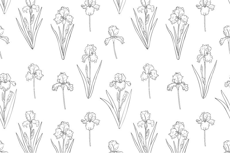 irises-graphics-pattern-flowers-graphics-pattern-iris-svg