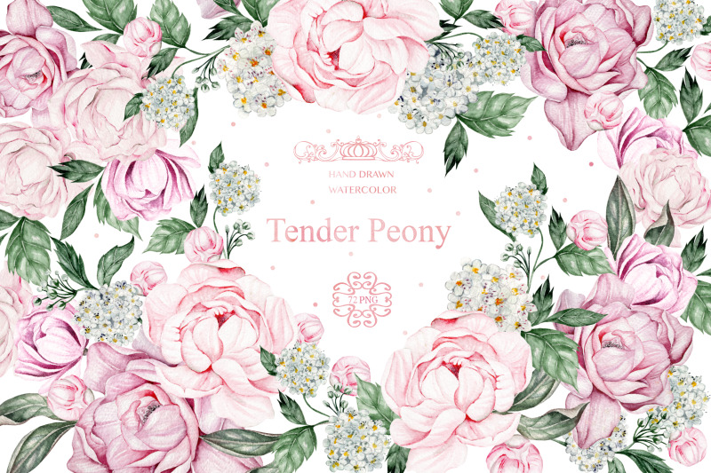 watercolor-tender-peony