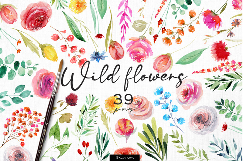 wild-flowers-set