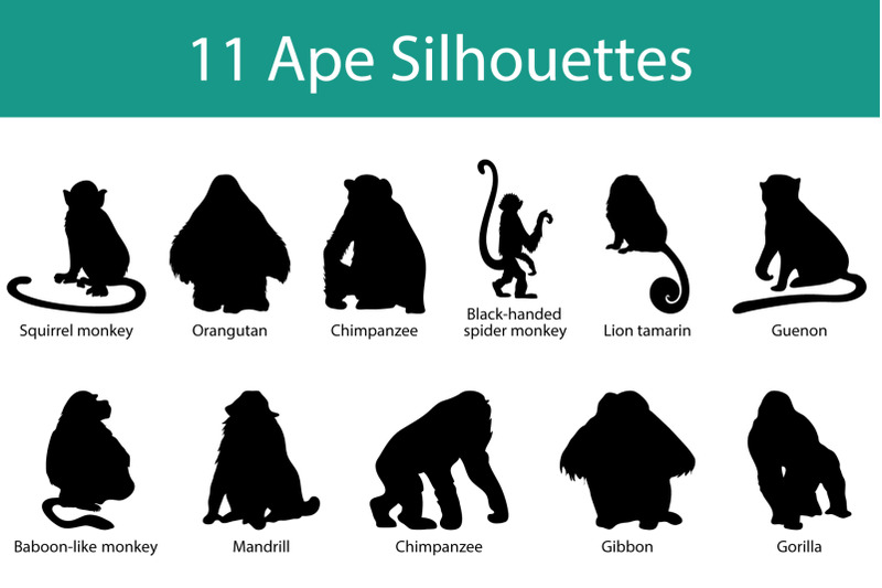 ape-silhouette-set