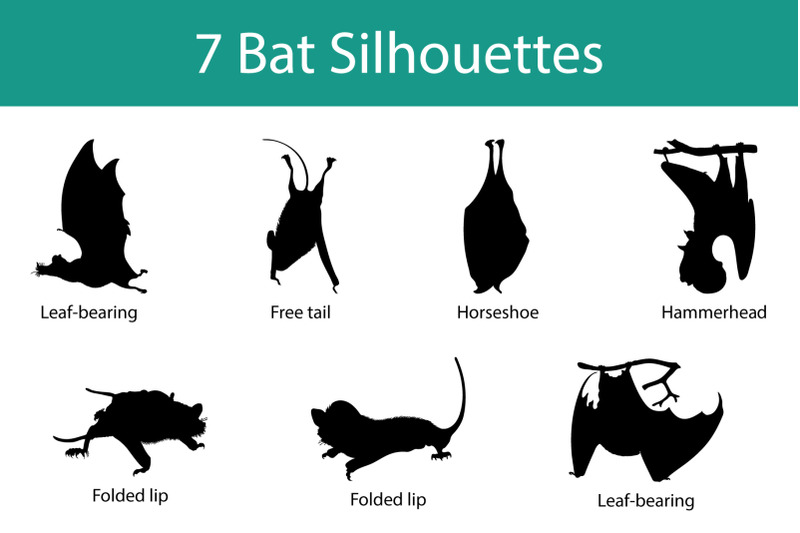 bat-silhouettes-set