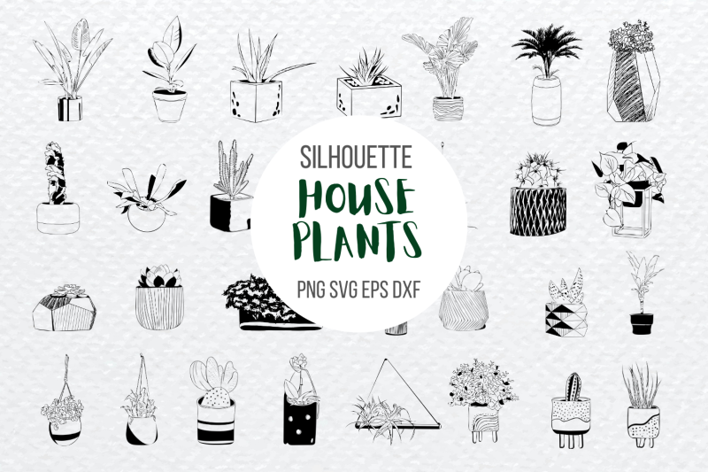 house-plants-nbsp-silhouette-bundle