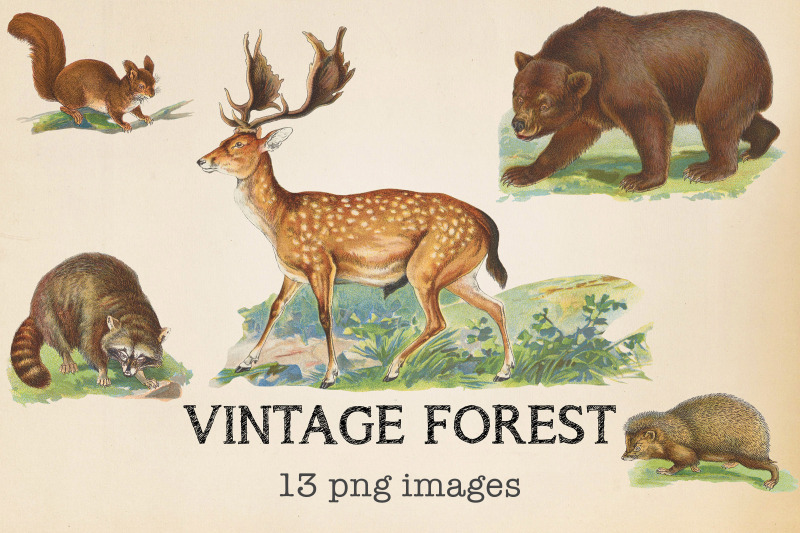 vintage-forest-animals-clipart