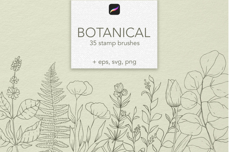 botanical-procreate-stamps-vector-clipart