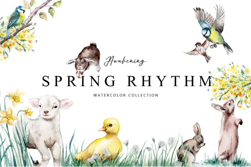 spring-rhythm-watercolor-set