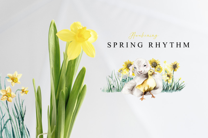 spring-rhythm-watercolor-set