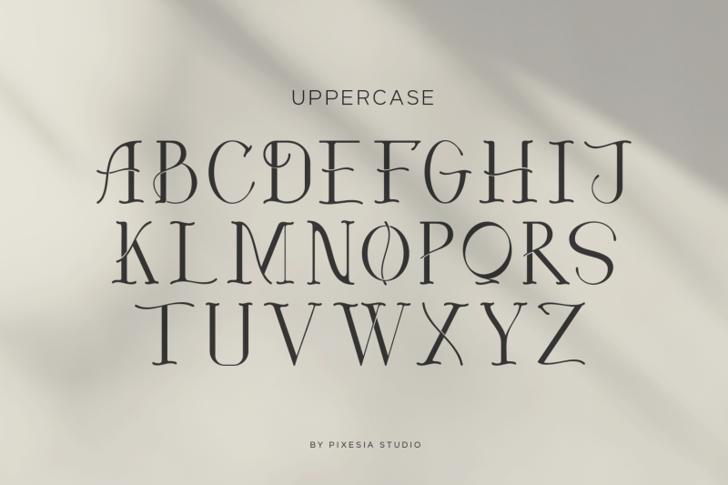 louries-a-fancy-modern-serif-font