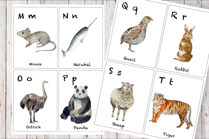 watercolor-abc-animals-flashcards