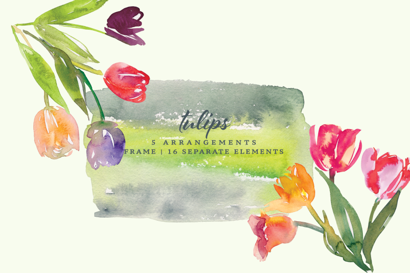 watercolor-tulip-clipart-collection