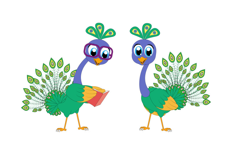 cute-peacock-bird-animal-cartoon